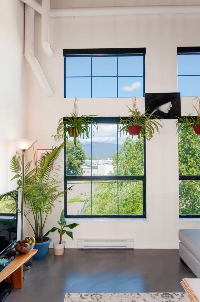 featured image for card